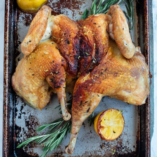 Rosemary Lemon Spatchcock Chicken