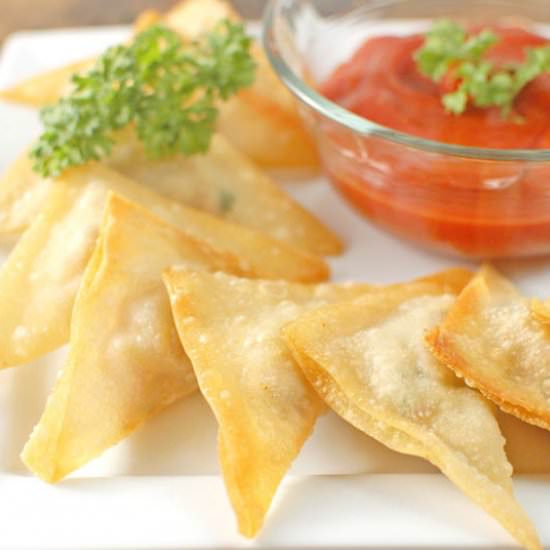 Easy Pork & Veggie Won Tons