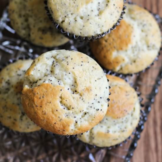 Lemon Poppy Seed Muffins