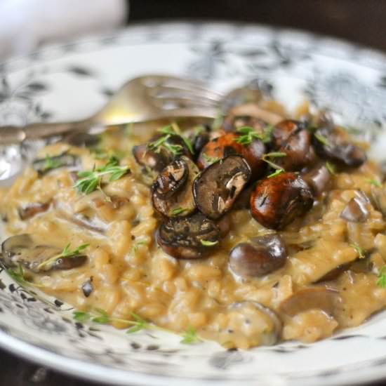 Mushroom Risotto