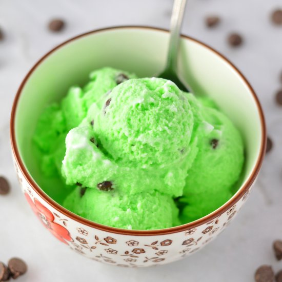 Mint Chocolate Ice Cream