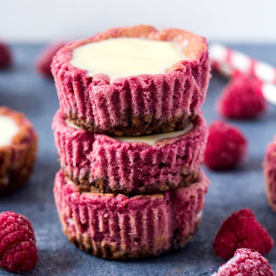 Raspberry Minicheesecakes