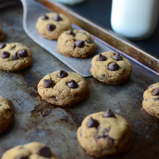 Gluten Free Chocolate Chip Cookies