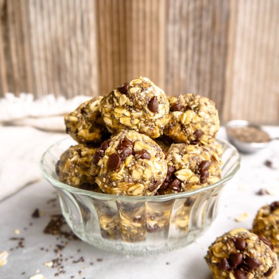 Chia Oatmeal Chocolate Chip Snack