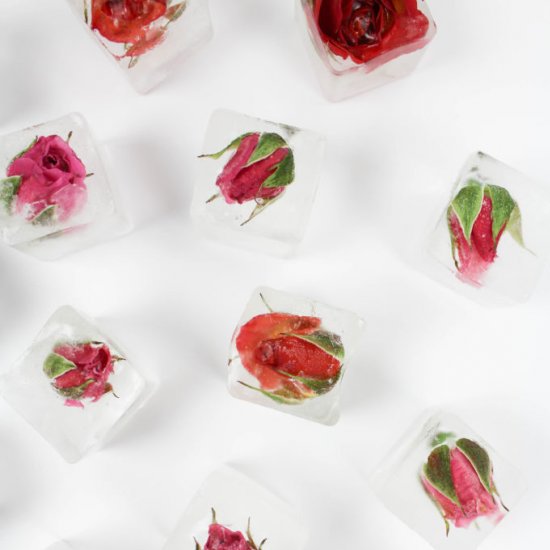 Rose Ice Cubes