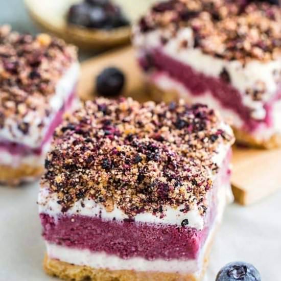 Blueberry Ice Cream Bars