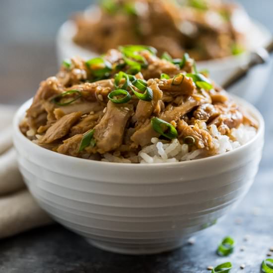 Slow Cooker Honey Teriyaki Chicken