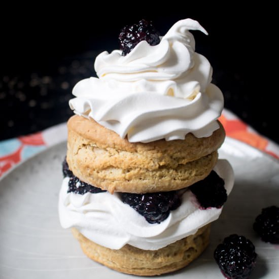 HOMEMADE BLACKBERRY SHORTCAKE