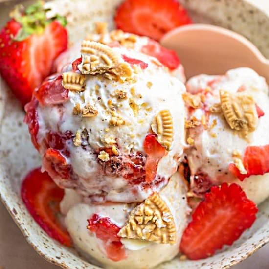 Strawberry Shortcake Ice Cream