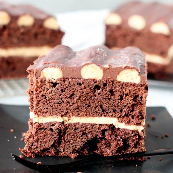 Peanut Butter Bumpy Cake