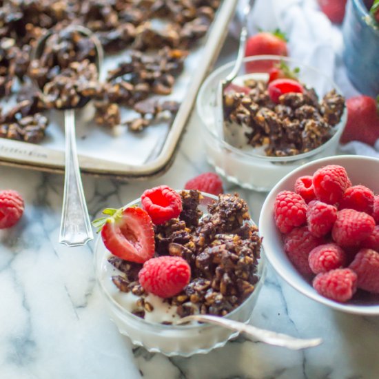 30-Minute Paleo Chocolate Granola