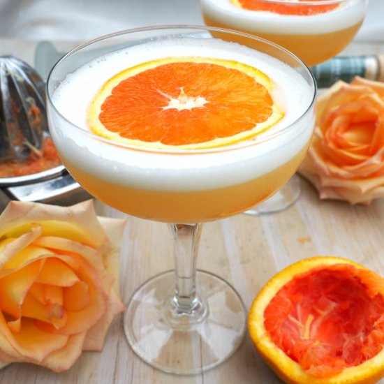 Blood Orange Pisco Cocktail