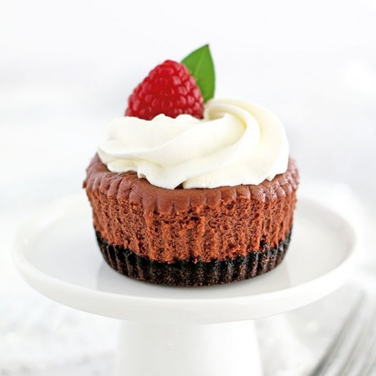 Oreo Chocolate Mini Cheesecakes