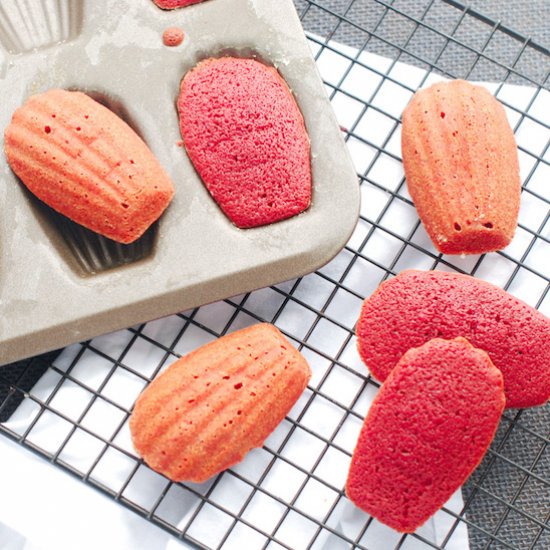 Beet Madeleines