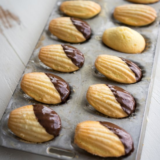 Orange Blossom Madeleines