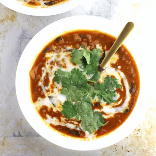 Curried Lentil Tomato Soup