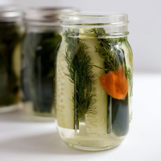 Spicy Dill Pickles