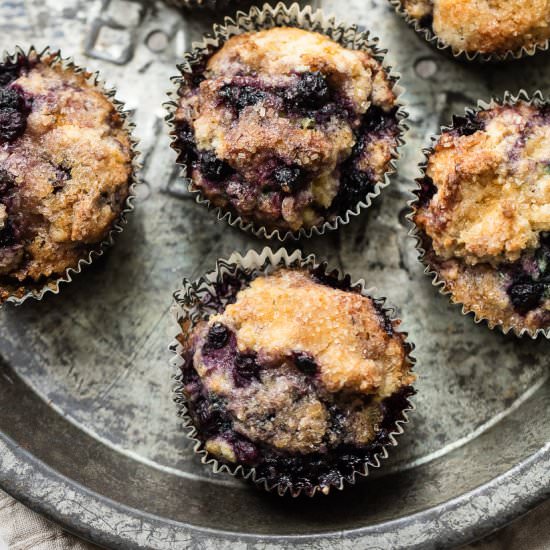 Blueberry Oat Morning Muffins