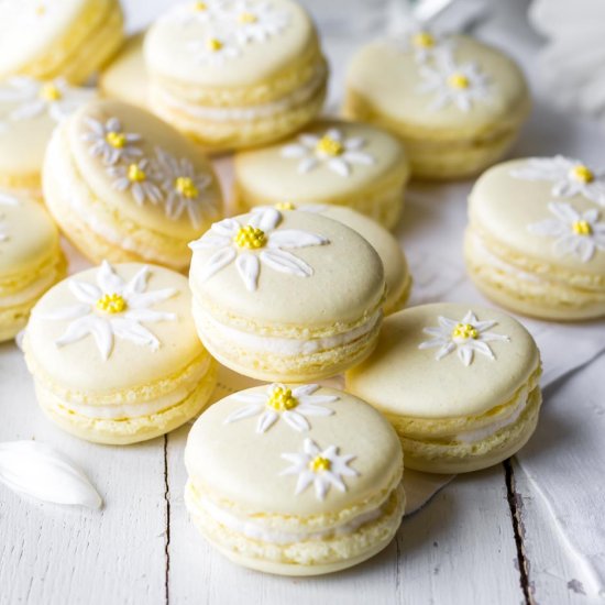 Lemon Macarons