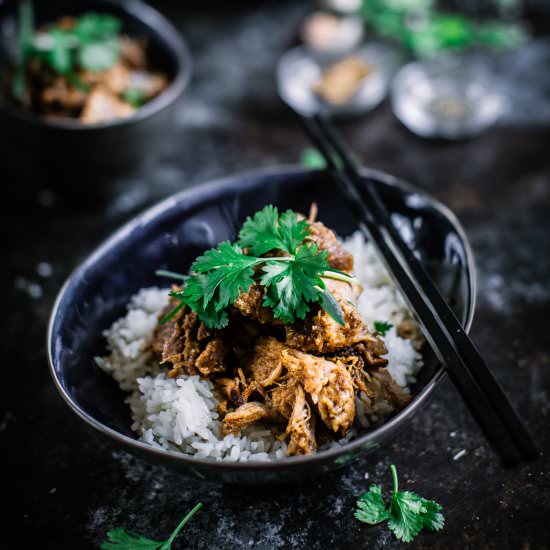 One Pot Caramelised Pork Recipe