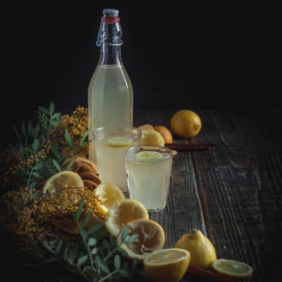 Winter spiced lemonade