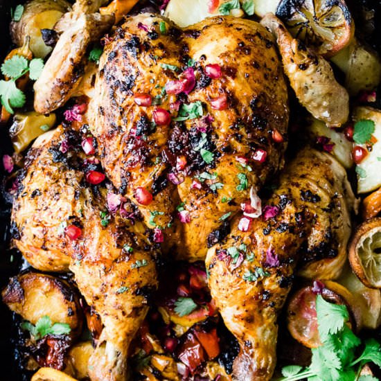 EASY SHEET PAN MOROCCAN HARISSA CHICKEN