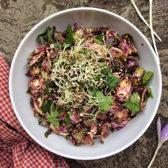 Shaved Purple Brussels Sprouts Salad