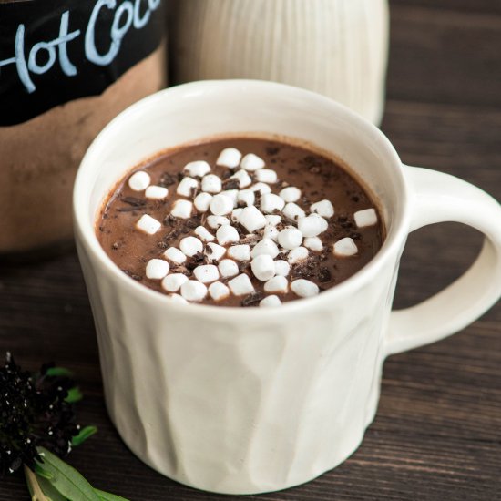 Dairy-Free Hot Chocolate Mix