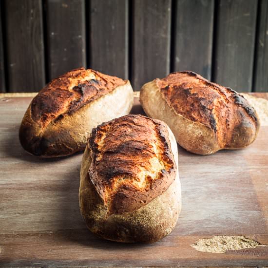 Durum sourdough bread