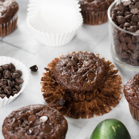 Chocolate Zucchini Muffins