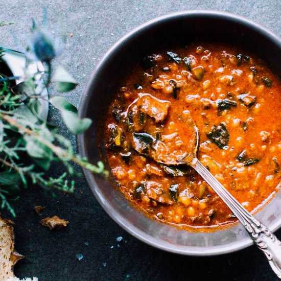 Instant Pot Beef Soup