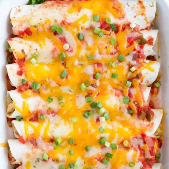 Cream Cheese Chicken Enchiladas