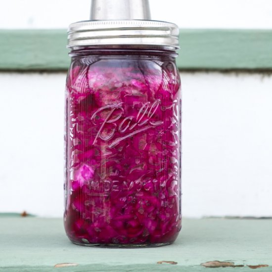 Homemade Sauerkraut