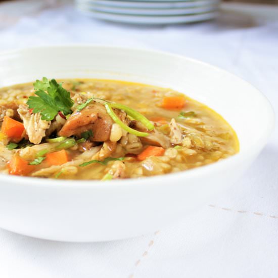 Chicken Barley Leek Soup