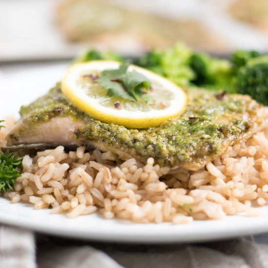 Cilantro Pesto Rainbow Trout