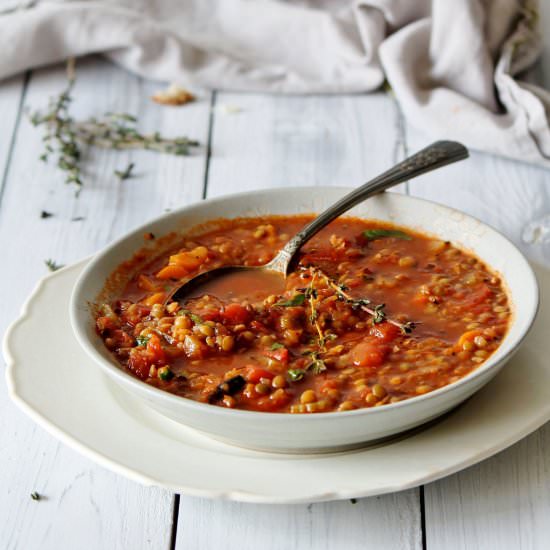 French Lentil Soup