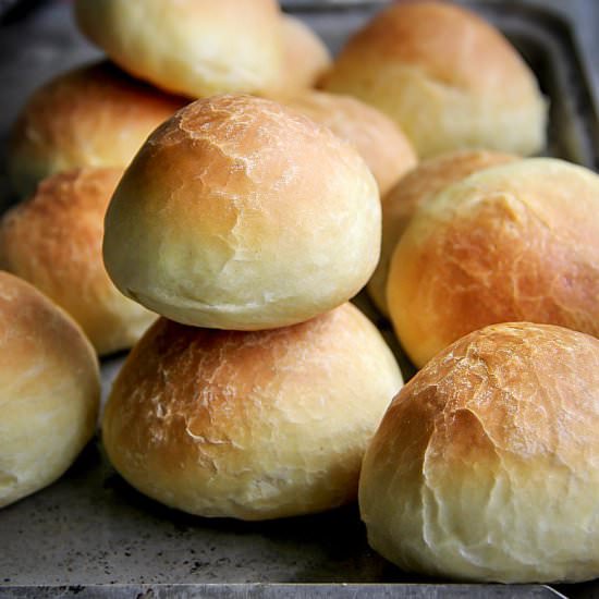 Homemade Dinner Rolls