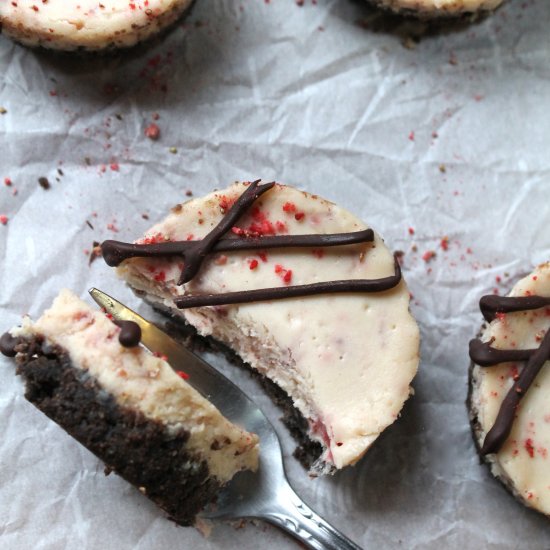 strawberry chocolate mini cheesecak