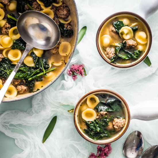 Italian Wedding Soup w Orecchiette