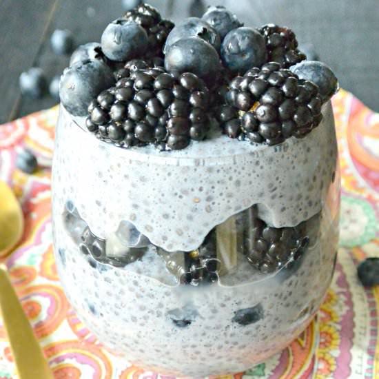 Blueberry Chia Seed Pudding