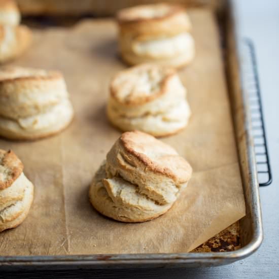 Flaky Baking Powder Biscuits