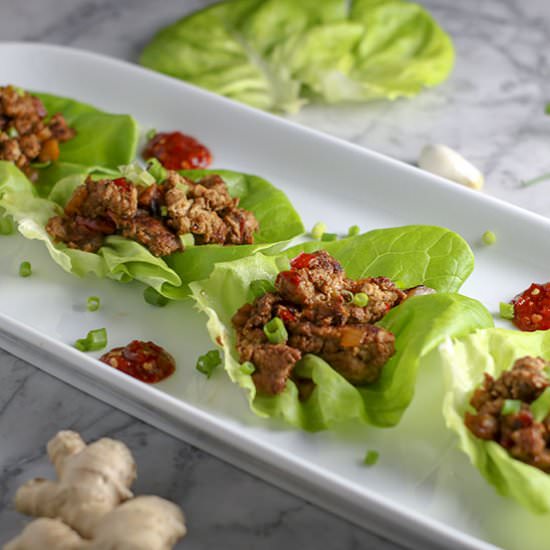 Asian Turkey Lettuce Wraps