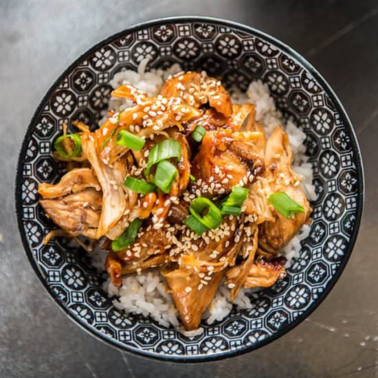 Slow Cooker Teriyaki Chicken