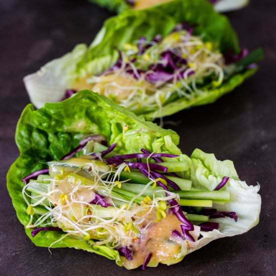 Asian Slaw Wraps with Almond Butter