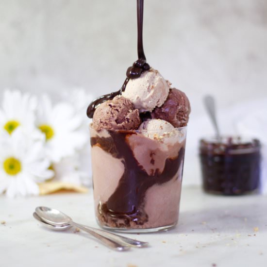 Blender Chocolate Vegan Ice Cream