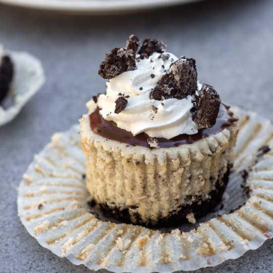 Mini Oreo Cheesecakes