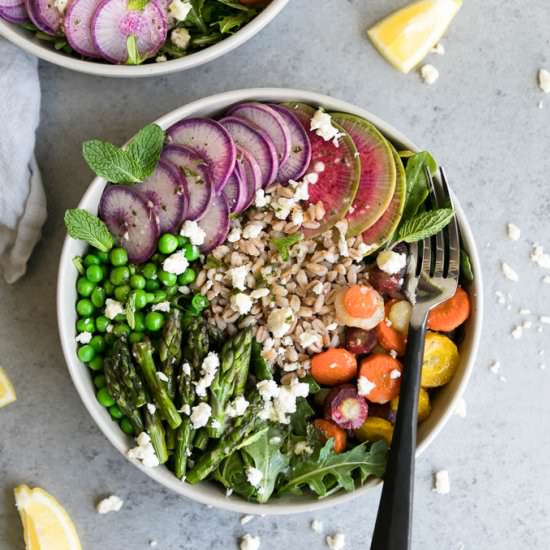 Spring Vegetable Salad with Farro