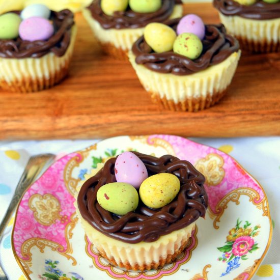 Mini egg cheesecakes