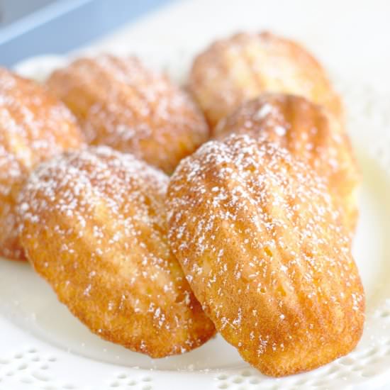 Lemon Madeleines