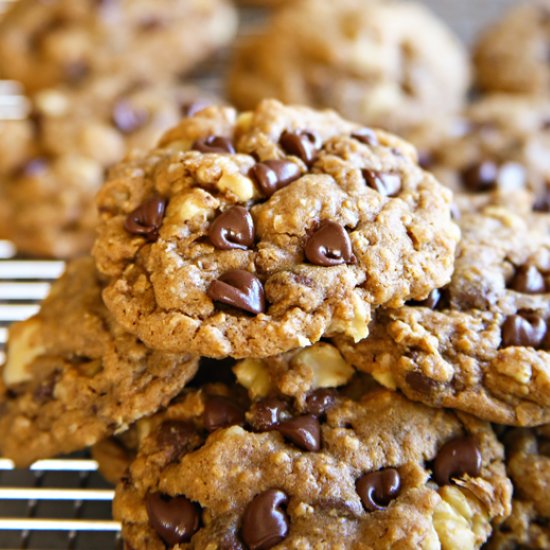 Molasses Chocolate Chip Oatmeal Coo